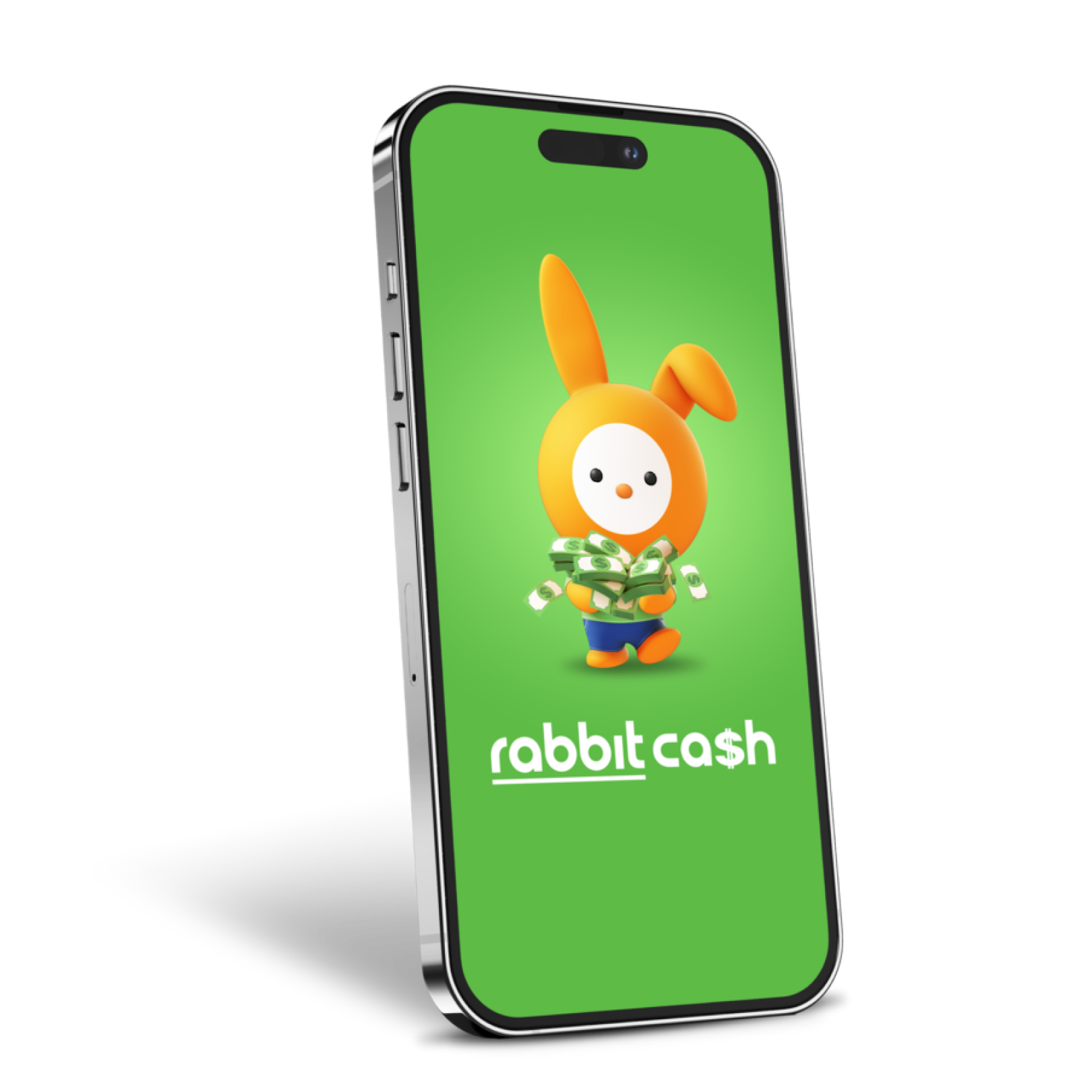 Image | rabbit cash
