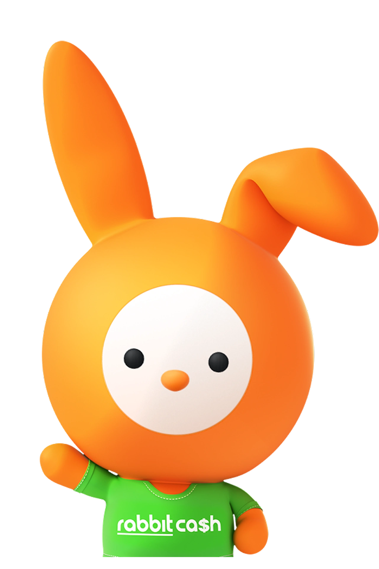 Image | rabbit cash