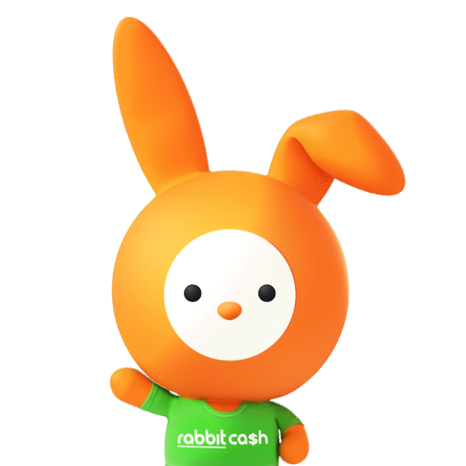 Image | rabbit cash